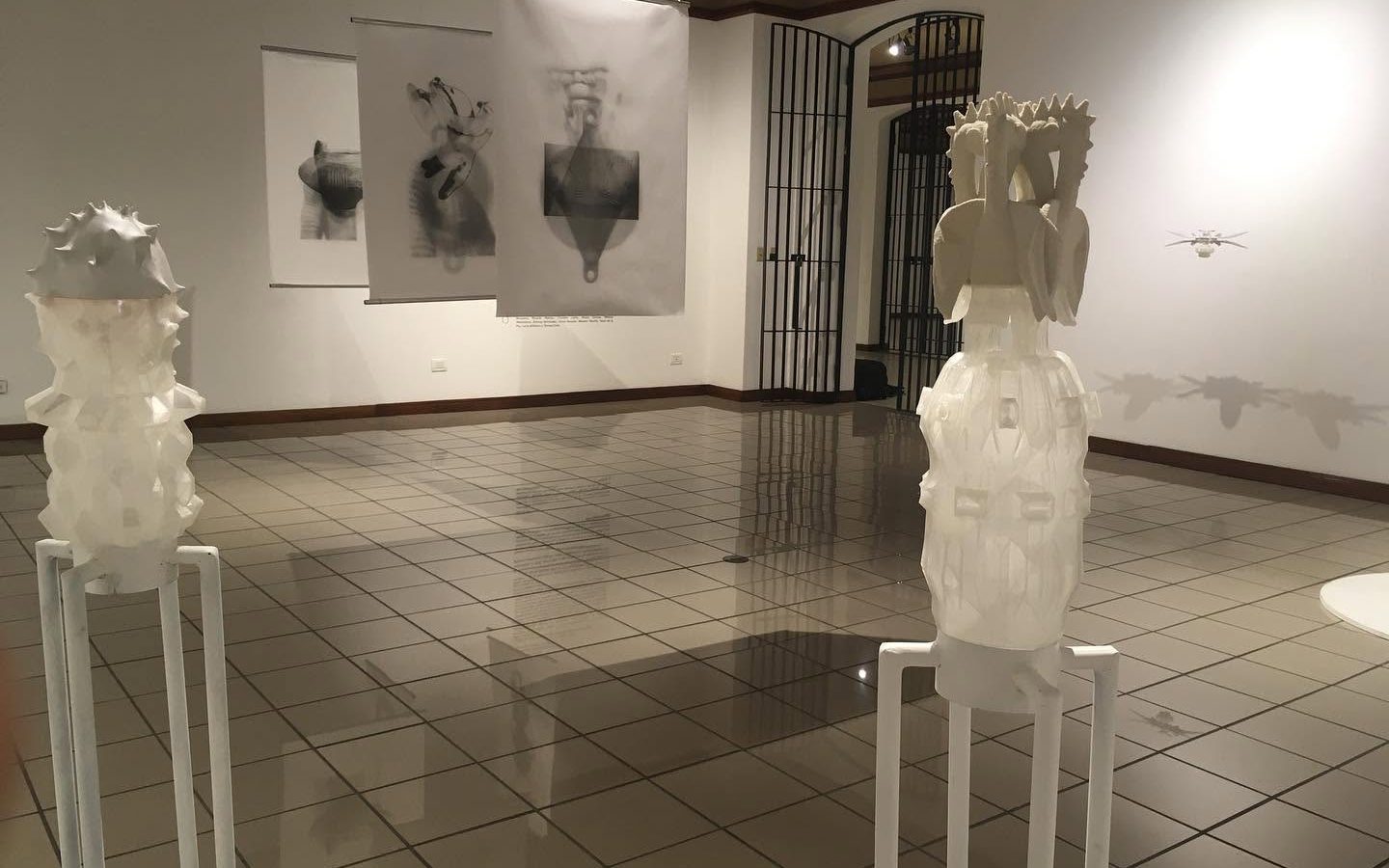 Desobediencias y Resistencias: El arte como acto de confrontación