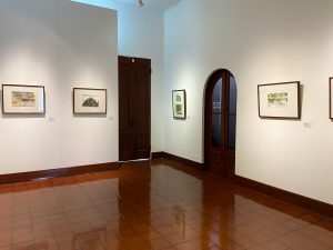 IMG_2945