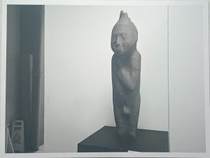 SERIE: ALMACENES, ARCHIVOS Y DEPOSITOS DE MUSEOS. 1998-EN PROCESO