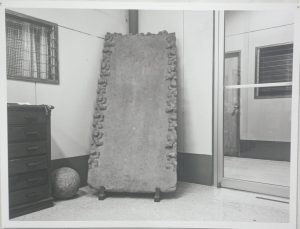 SERIE: ALMACENES, ARCHIVOS Y DEPOSITOS DE MUSEOS. 1998-EN PROCESO