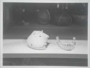 SERIE: ALMACENES, ARCHIVOS Y DEPOSITOS DE MUSEOS. 1998-EN PROCESO