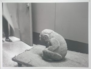 SERIE: ALMACENES, ARCHIVOS Y DEPOSITOS DE MUSEOS. 1998-EN PROCESO